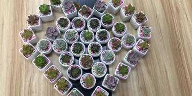 今天，你們是我的女神