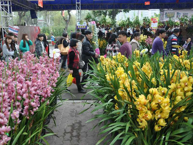廣州番禺迎春花市搭建 廣州番禺迎春花市搭建